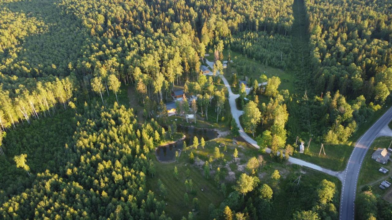 Marika Puhkekuela - Metsanurga Oeoemaja 